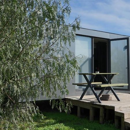 Tiny Colchagua Cabanas Y Padel Lejlighed Santa Cruz Eksteriør billede