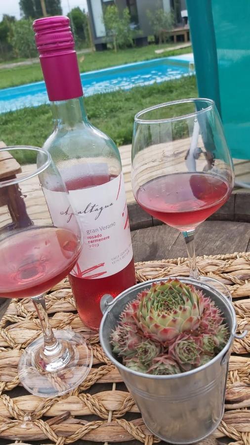 Tiny Colchagua Cabanas Y Padel Lejlighed Santa Cruz Eksteriør billede