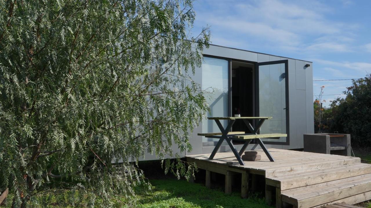 Tiny Colchagua Cabanas Y Padel Lejlighed Santa Cruz Eksteriør billede