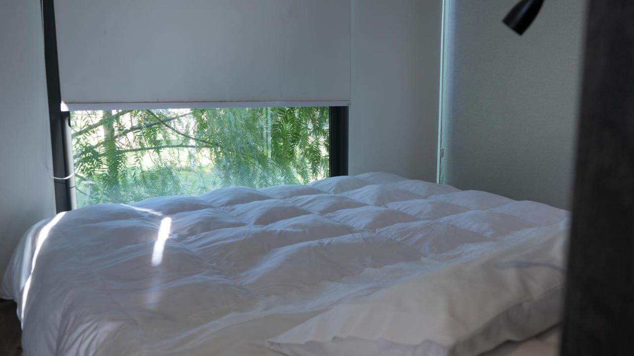 Tiny Colchagua Cabanas Y Padel Lejlighed Santa Cruz Eksteriør billede