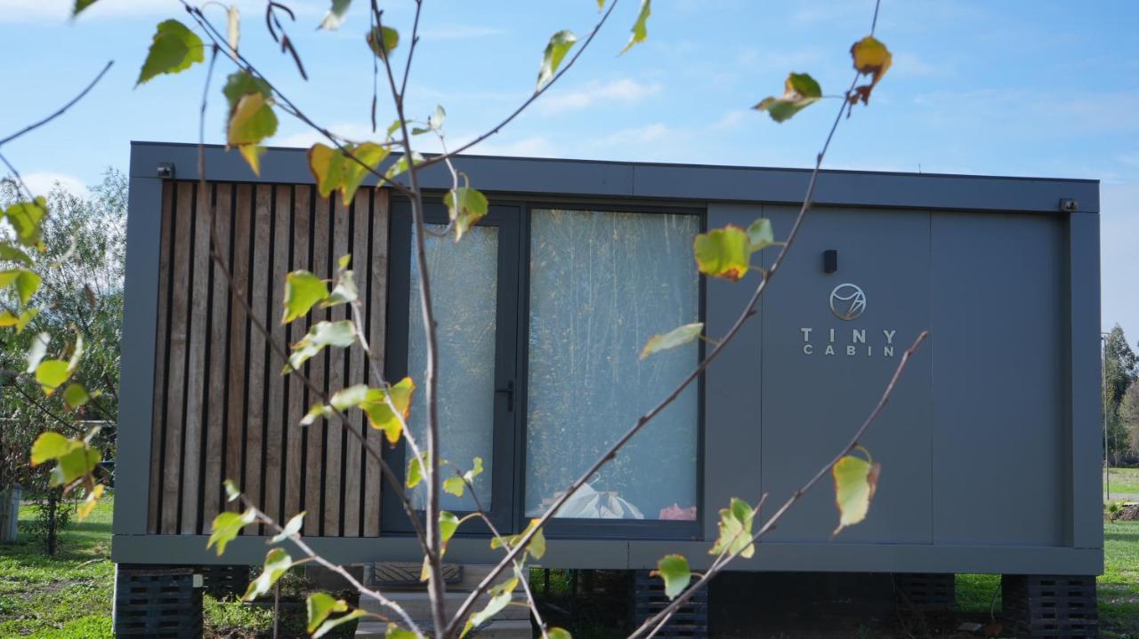 Tiny Colchagua Cabanas Y Padel Lejlighed Santa Cruz Eksteriør billede