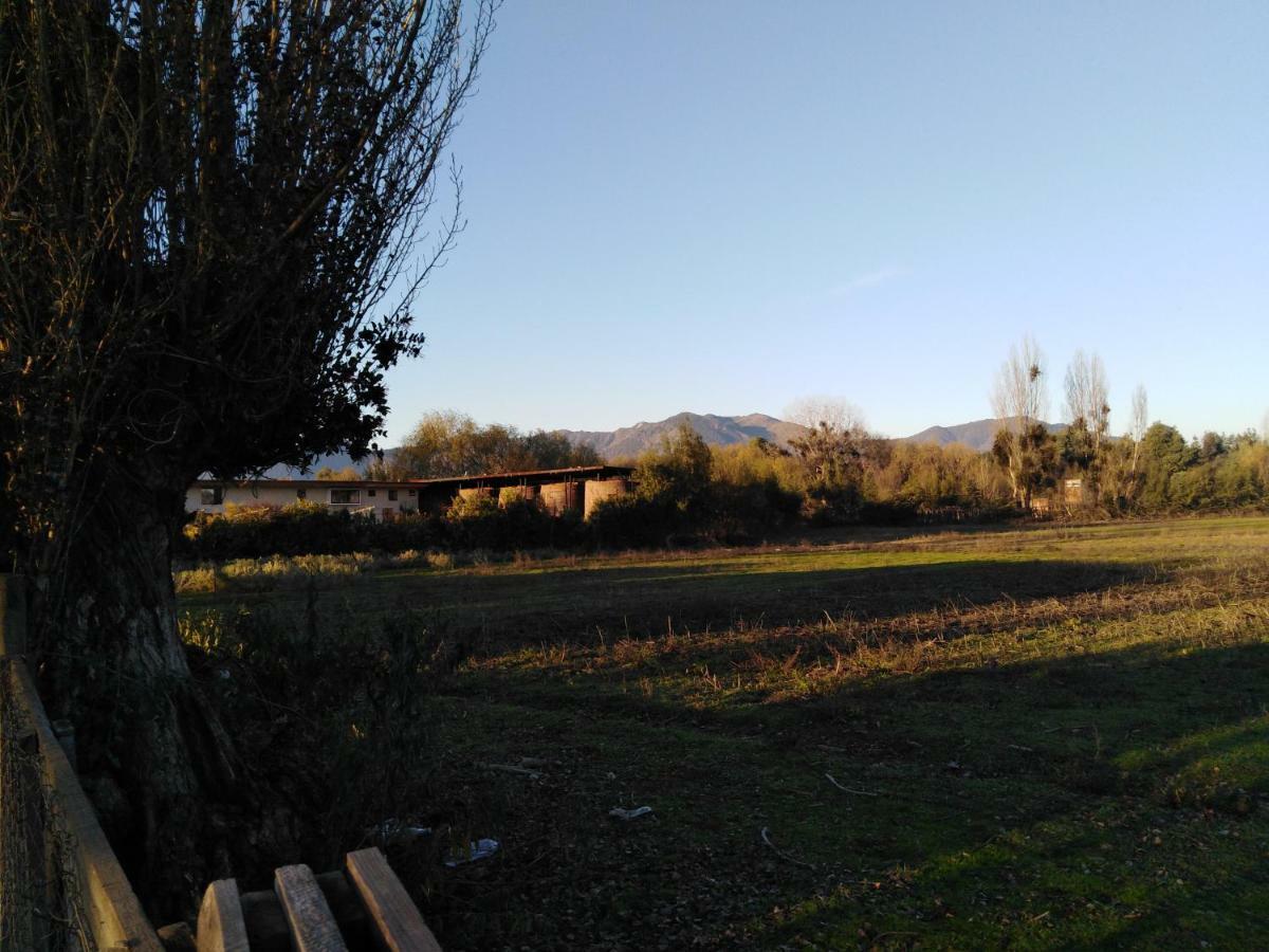 Tiny Colchagua Cabanas Y Padel Lejlighed Santa Cruz Eksteriør billede